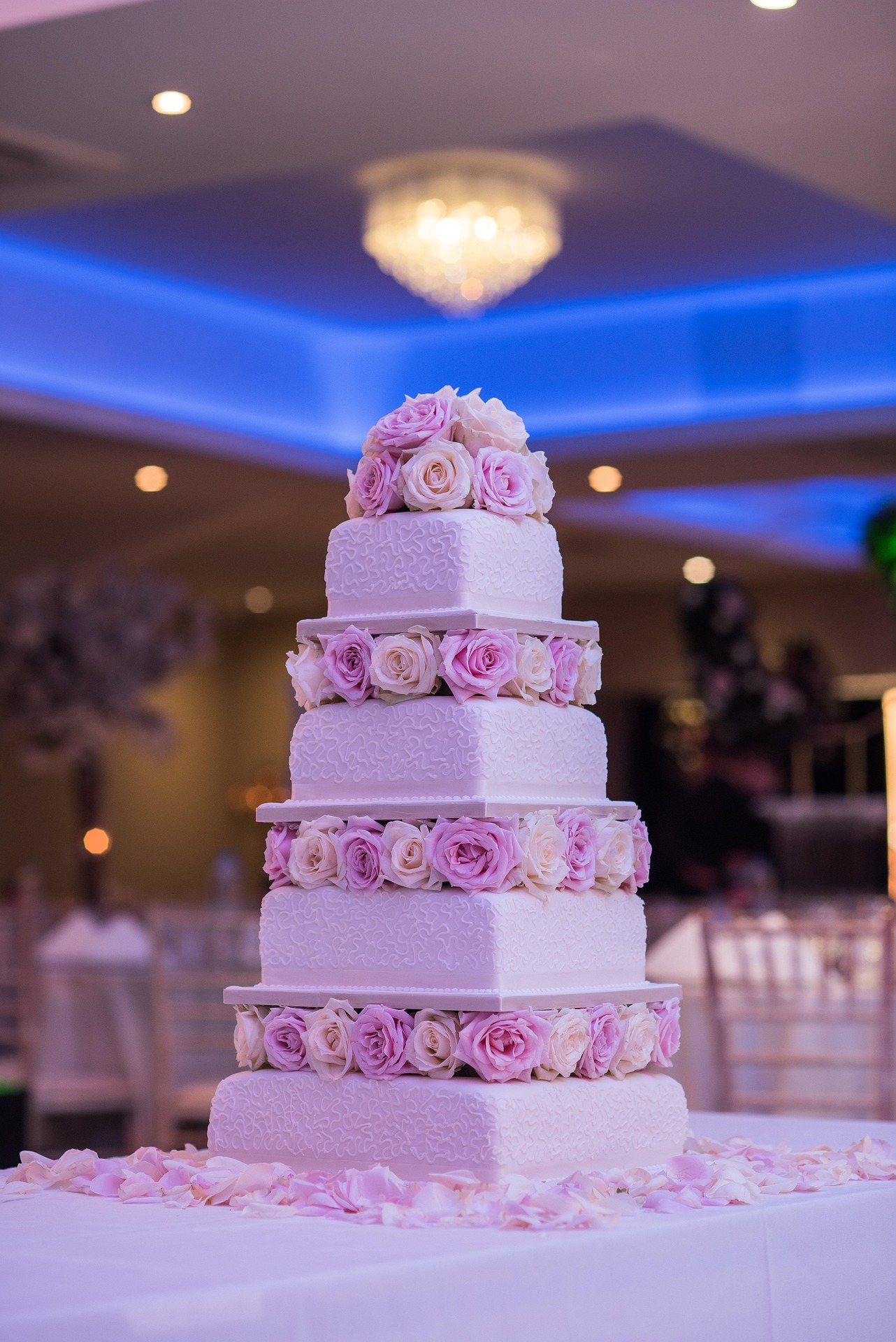 A cake worth the photograph